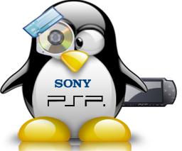 penguin pingouin pinguino 258